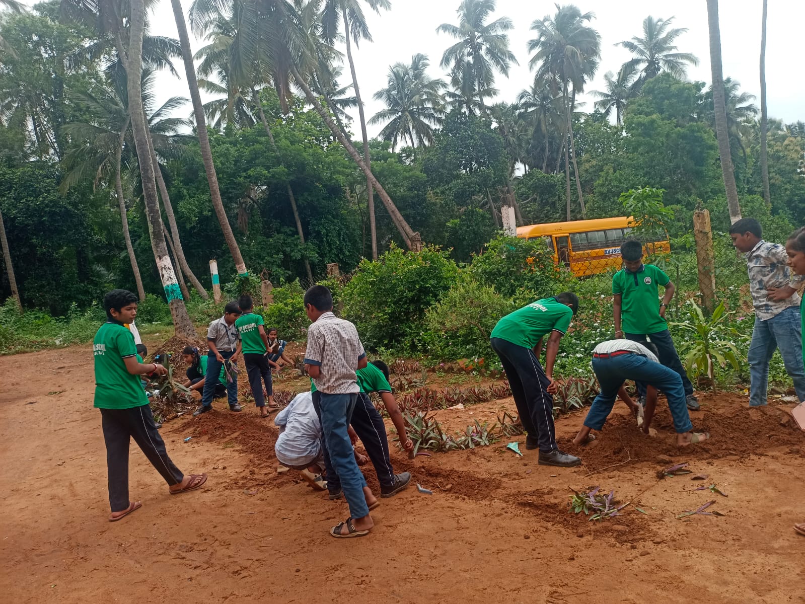 Co-Curricular Activity 19